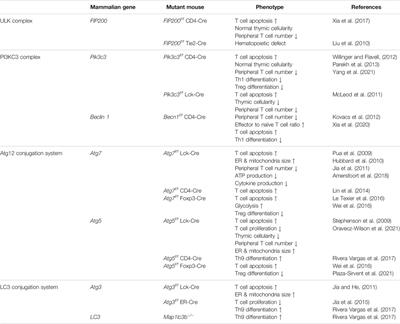 The Role of Autophagy in the Function of CD4+ T Cells and the Development of Chronic Inflammatory Diseases